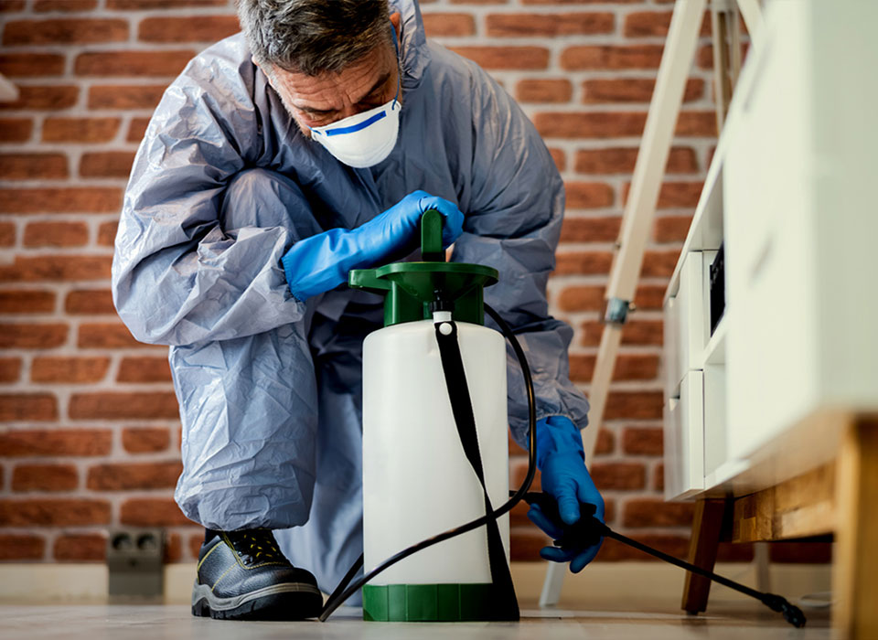 شركة مكافحة بق الفراش بالدمام والخبر والقطيف والظهران