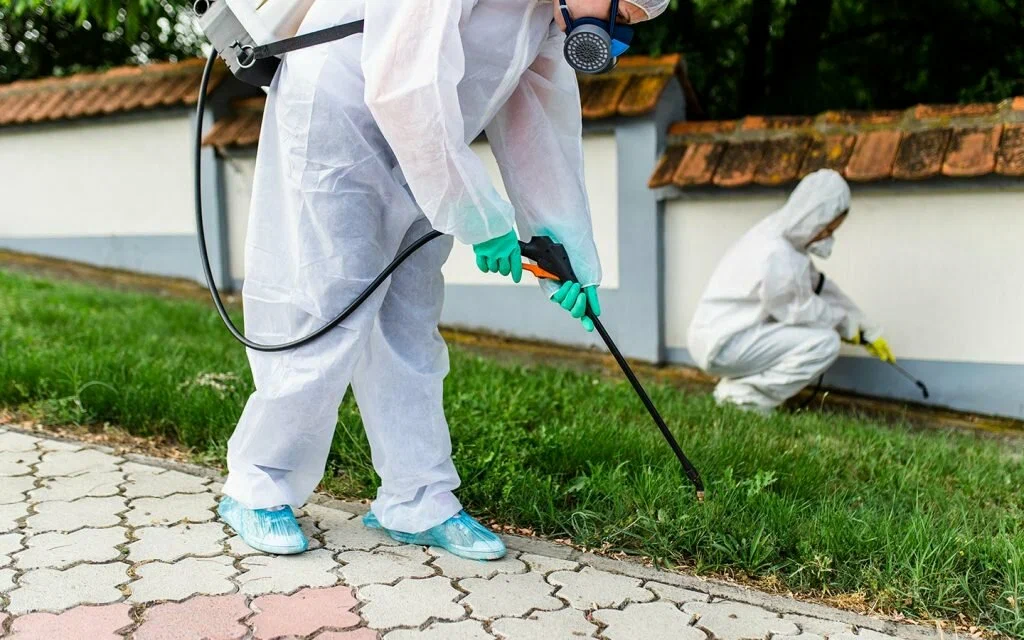 شركة مكافحة بق الفراش بالدمام والخبر والقطيف والظهران