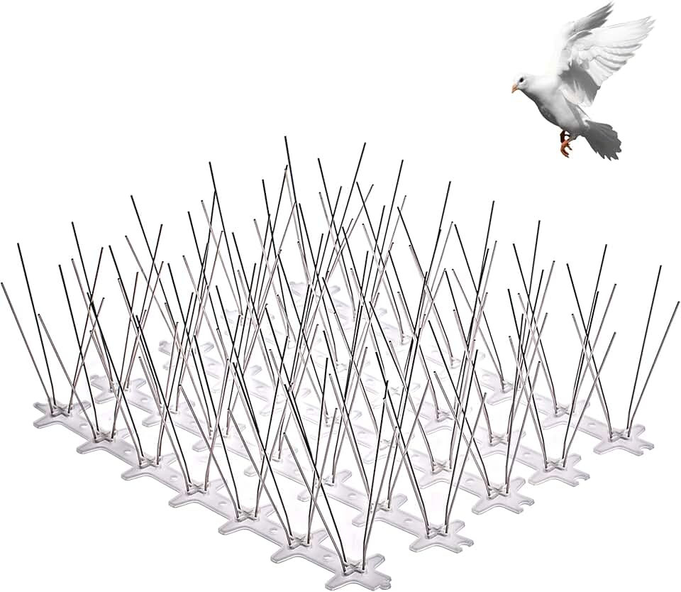 شركة تركيب طارد حمام بالجبيل