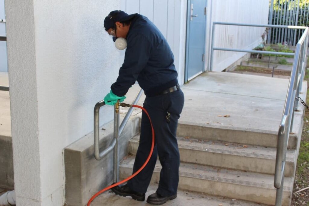 شركة مكافحة النمل الأبيض بالجبيل